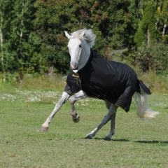 Deken Bucas Pony Irish 50g - 27058