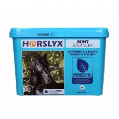 Horslyx Mint Balancer 5 kg THT 29-6-2024
