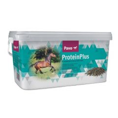 Pavo ProteinPlus 7kg THT 31-8-2024